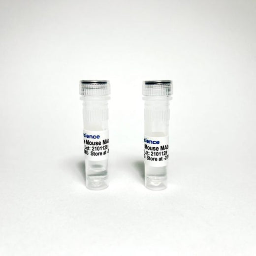 Anti-Mouse PD-L1 Rat Monoclonal Antibody