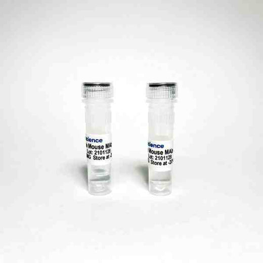 Stabilin-1 Mouse Monoclonal Antibody