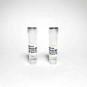 Methaqualone Monoclonal Antibody