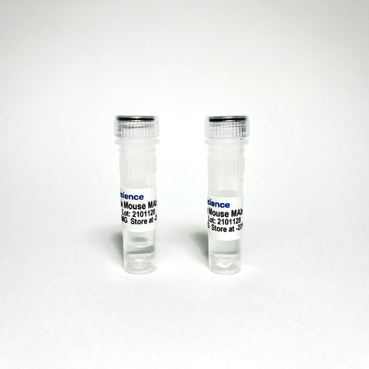 K2 Monoclonal Antibody – IgG1, 4.47 mg/ml