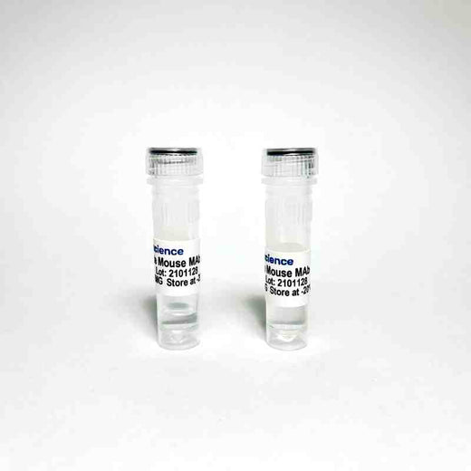 Benzoylecgonine Monoclonal Antibody – IgG1, kappa light chain