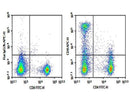 Anti-Mouse CD8 Antibody [S18018E] - ABMIUM