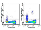 Anti-Human CD123 Antibody [HI8D7] - ABMIUM