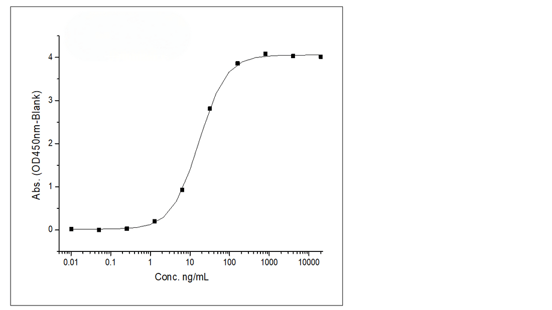 Immobilized Recombinant Rat B7-H3 / CD276 Protein (Fc Tag) (Cat: PKSR030193) at 2 μg/mL (100 μL/well) can bind Anti-B7-H3 Antibody, IgG1 Kappa, the EC<sub>50</sub> is 8.5-25 ng/mL.