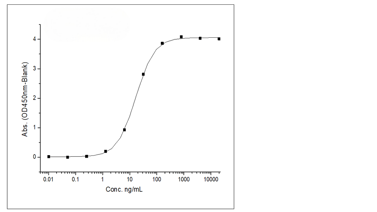 Immobilized Recombinant Rat B7-H3 / CD276 Protein (Fc Tag) (Cat: PKSR030193) at 2 μg/mL (100 μL/well) can bind Anti-B7-H3 Antibody, IgG1 Kappa, the EC<sub>50</sub> is 8.5-25 ng/mL.