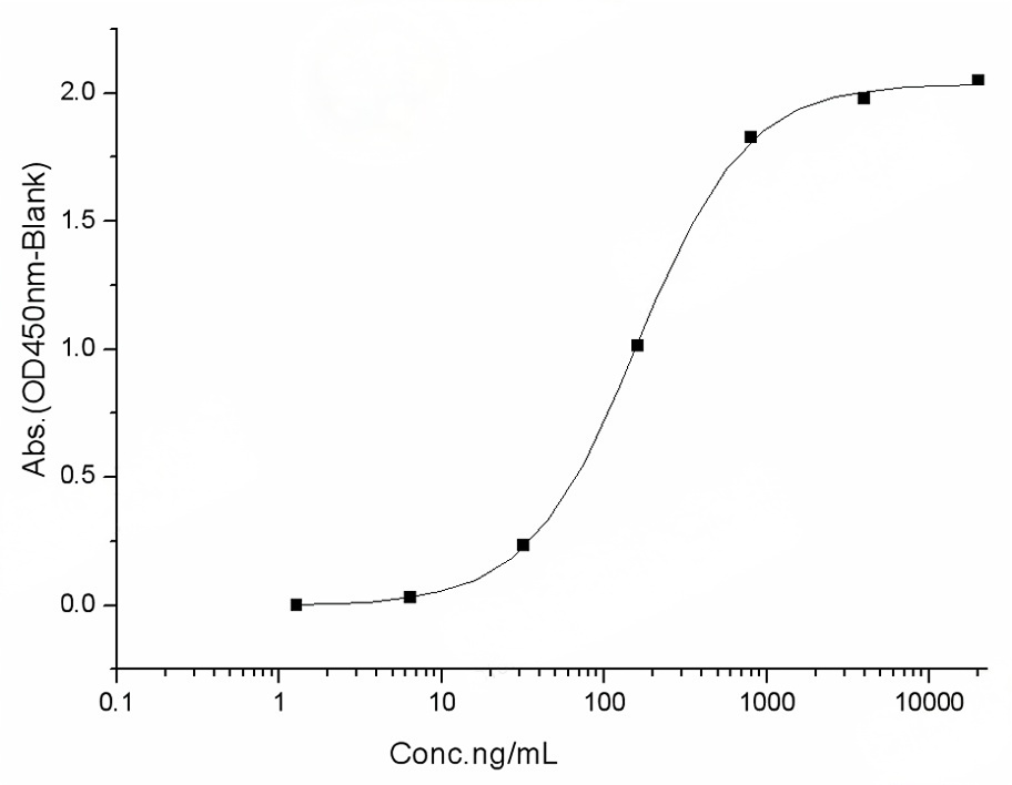 Measured by its binding ability in a functional ELISA. Immobilized human ACE2 protein (Fc tag)(Cat: PKSH031870) at 2 μg/mL (100 μL/well) can bind SARS-CoV-2 (2019-nCoV) Spike RBD-His Recombinant Protein, Biotinylated (PKSR030520), the EC<sub>50</sub> of SARS-CoV-2 (2019-nCoV) Spike RBD-His Recombinant Protein, Biotinylated (PKSR030520) is 20-60 ng/mL.