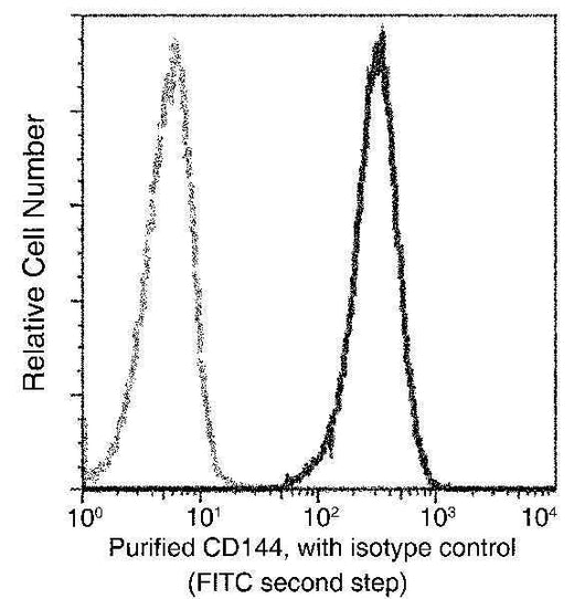 Anti-Human CDH5 Antibody [B104] - ABMIUM