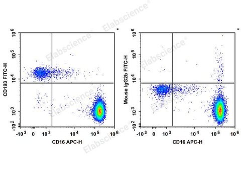 Human peripheral blood granulocytes are stained with APC Anti-Human CD16 Antibody and FITC Anti-Human CD193/CCR3 Antibody (Left). Granulocytes are stained with APC Anti-Human CD16 Antibody and FITC Mouse IgG2b,κ Isotype Control (Right).