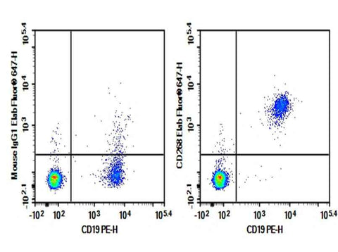 Anti-Human CD268 Antibody [H353-6G10] - ABMIUM