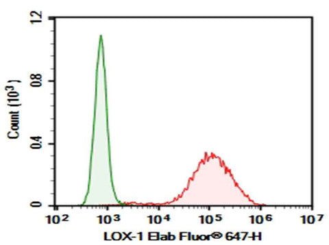 Anti-Human LOX-1 Antibody [15C4] - ABMIUM