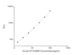 Human NT-proBNP (N-Terminal Pro-Brain Natriuretic Peptide) CLIA Kit - ABMIUM