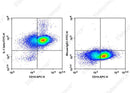 Anti-Human IL-1 Antibody [CRM56] - ABMIUM