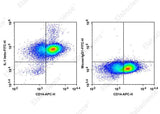 Anti-Human IL-1 Antibody [CRM56] - ABMIUM