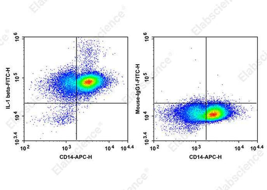 Anti-Human IL-1 Antibody [CRM56] - ABMIUM