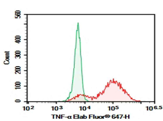 Anti-Human TNF-α Antibody [Adalimumab297.rMAb] - ABMIUM