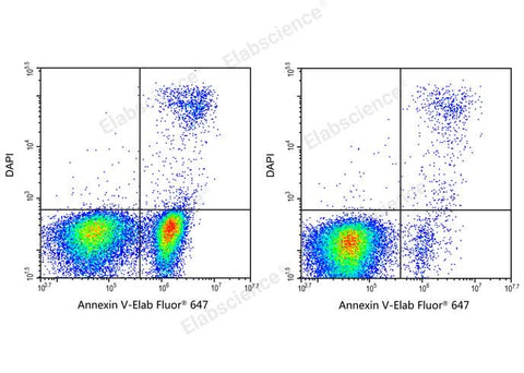 Annexin V-Elab Fluor® 647/DAPI Apoptosis Kit - ABMIUM