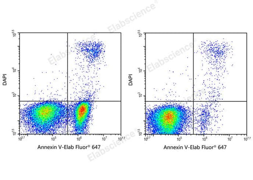 Annexin V-Elab Fluor® 647/DAPI Apoptosis Kit - ABMIUM