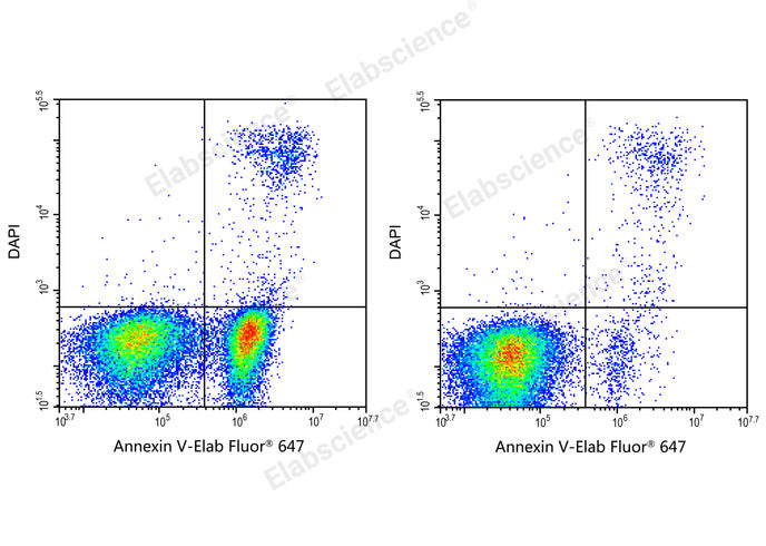 Annexin V-Elab Fluor® 647/DAPI Apoptosis Kit - ABMIUM