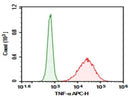 Anti-Mouse TNF-α Antibody [TN3-19.12] - ABMIUM