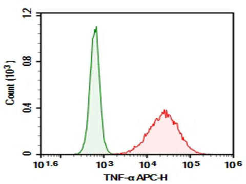 Anti-Mouse TNF-α Antibody [TN3-19.12] - ABMIUM