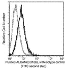 Anti-Human ALCAM Antibody [A852] - ABMIUM