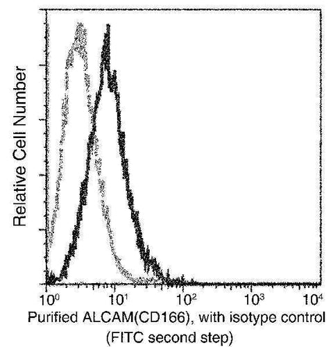 Anti-Human ALCAM Antibody [A852] - ABMIUM