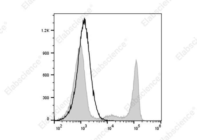 Anti-Human CD8 Antibody [UCHT-4] - ABMIUM