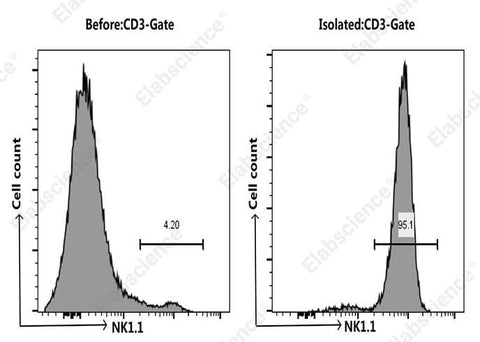 NK cells were isolated from the spleen cells of C57BL/6 mice, Mouse spleen cells were co-stained before and after the sorting with APC Anti-Mouse CD3 Antibody[17A2] (E-AB-F1013E) and PE Anti-Mouse NK1.1 Antibody[PK136] (E-AB-F0987D), the result shows that the proportion of CD3-NK1.1+ cells before and after the sorting of mouse spleen cells were 4.2% and 95.1%, respectively.