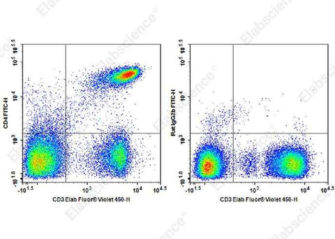 Anti-Mouse CD4 Antibody [RM4-4] - ABMIUM