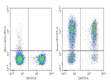 Human peripheral blood lymphocytes were stained with 0.2 μg Purified Anti-Human CD7 Antibody[HIT7] (Right) and 0.2 μg Mouse IgG1, κ Isotype Control (Left), followed by FITC-conjugated Goat Anti-Mouse IgG Secondary Antibody.
