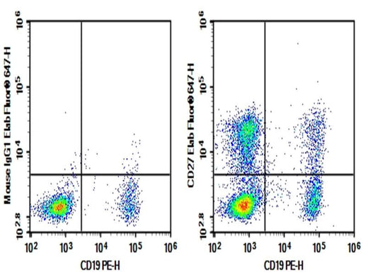 Human peripheral blood lymphocytes were stained with 0.2 μg Purified Anti-Human CD27 Antibody[O323] (Right) and 0.2 μg Mouse IgG1, κ Isotype Control (Left), followed by Elab Fluor<sup>®</sup> 647-conjugated Goat Anti-Mouse IgG Secondary Antibody, then anti-Human CD19 PE-conjugated Monoclonal Antibody.