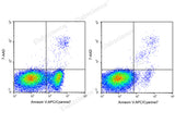 Annexin V-APC/Cyanine7/7-AAD Apoptosis Kit - ABMIUM