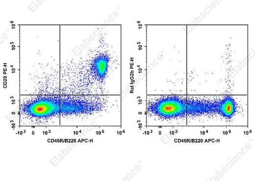 Staining of C57BL/6 murine splenocytes cells with APC Anti-Mouse CD45R/B220 Antibody and PE Anti-Mouse CD20 Antibody[SA271G2] (left) or PE Rat IgG2b;κ Isotype Control (right). Total viable cells were used for analysis.