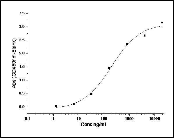 Measured by its binding ability in a functional ELISA. Immobilized mouse PTN at 10 μg/ml (100 μl/well) can bind rat SDC1-Fc (Cat: PKSR030216), The EC<sub>50</sub> of rat SDC1-Fc (Cat: PKSR030216) is 0.4-1.1 μg/ml.