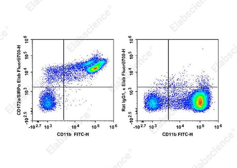 Anti-Mouse CD172a Antibody - ABMIUM