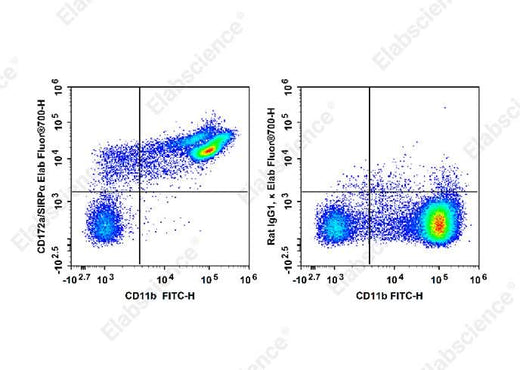 Anti-Mouse CD172a Antibody - ABMIUM