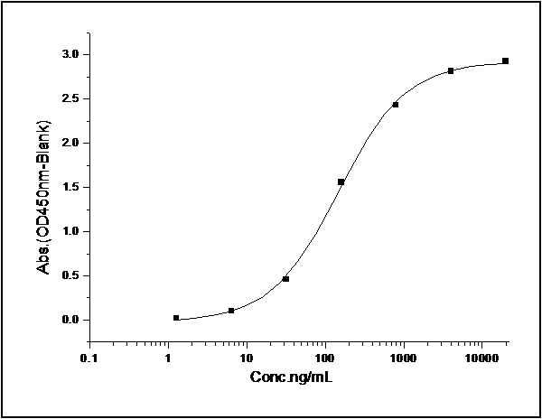Measured by its binding ability in a functional ELISA. Immobilized mouse EphB3 at 2 μg/ml (100 μl/well) can bind human EFNB1 Fc chimera with a linear range of 1.56-25 ng/ml.