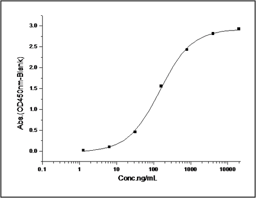 Measured by its binding ability in a functional ELISA. Immobilized mouse EphB3 at 2 μg/ml (100 μl/well) can bind human EFNB1 Fc chimera with a linear range of 1.56-25 ng/ml.