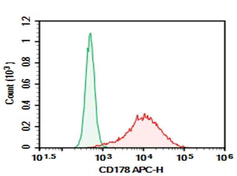 Anti-Human CD178 Antibody [NOK-1] - ABMIUM