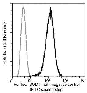 Anti-Human SOD1 Antibody [A863] - ABMIUM