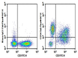 Human peripheral blood lymphocytes were stained with 0.2 μg Purified Anti-Human CD54 Antibody[15.2] (Right) and 0.2 μg Mouse IgG1, κ Isotype Control (Left), followed by Elab Fluor<sup>®</sup> 647-conjugated Goat Anti-Mouse IgG Secondary Antibody, then anti-Human CD3 FITC-conjugated Monoclonal Antibody.