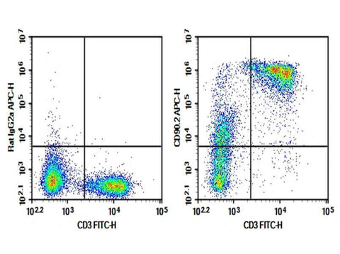 Anti-Mouse CD90.2 Antibody [53-2.1] - ABMIUM