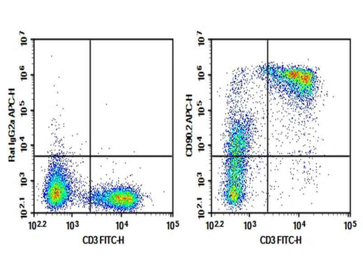 Anti-Mouse CD90.2 Antibody [53-2.1] - ABMIUM
