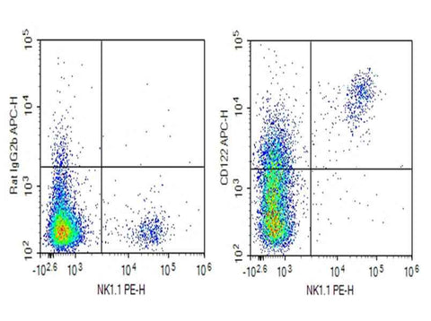 Anti-Mouse CD122 Antibody [TM-Beta 1] - ABMIUM