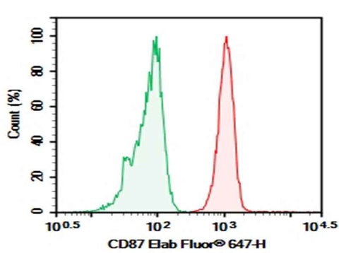 Anti-Human CD87 Antibody [H196-10E1] - ABMIUM