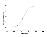 Measured by its binding ability in a functional ELISA. Immobilized recombinant mouse EphA6 at 2 μg/ml (100 μl/well) can bind recombinant human EphrinA3 at a linear range of 0.31-10 ng/ml.
