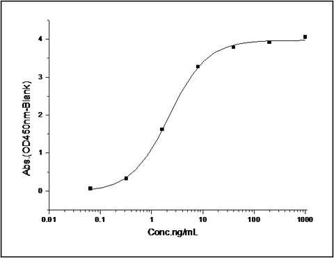 Measured by its binding ability in a functional ELISA. Immobilized recombinant mouse EphA6 at 2 μg/ml (100 μl/well) can bind recombinant human EphrinA3 at a linear range of 0.31-10 ng/ml.
