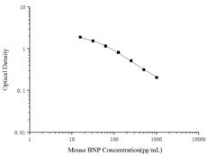 Mouse BNP(Brain Natriuretic Peptide) ELISA Kit - ABMIUM
