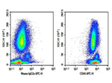 Anti-Human CD44 Antibody [HI44a] - ABMIUM