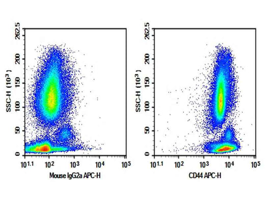 Anti-Human CD44 Antibody [HI44a] - ABMIUM